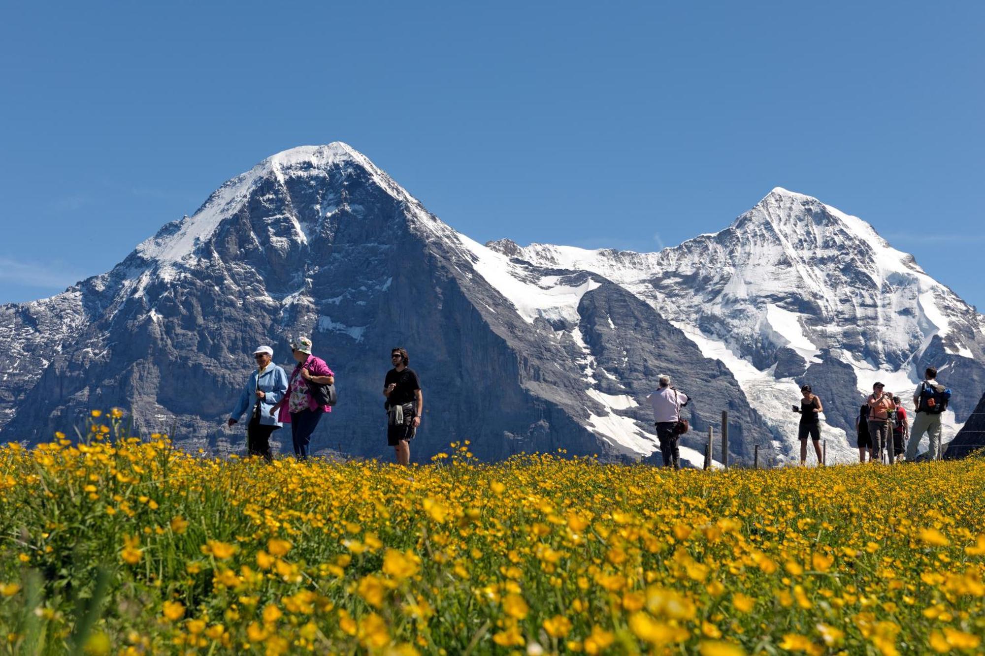 Parkhotel Schoenegg Grindelwald Luaran gambar