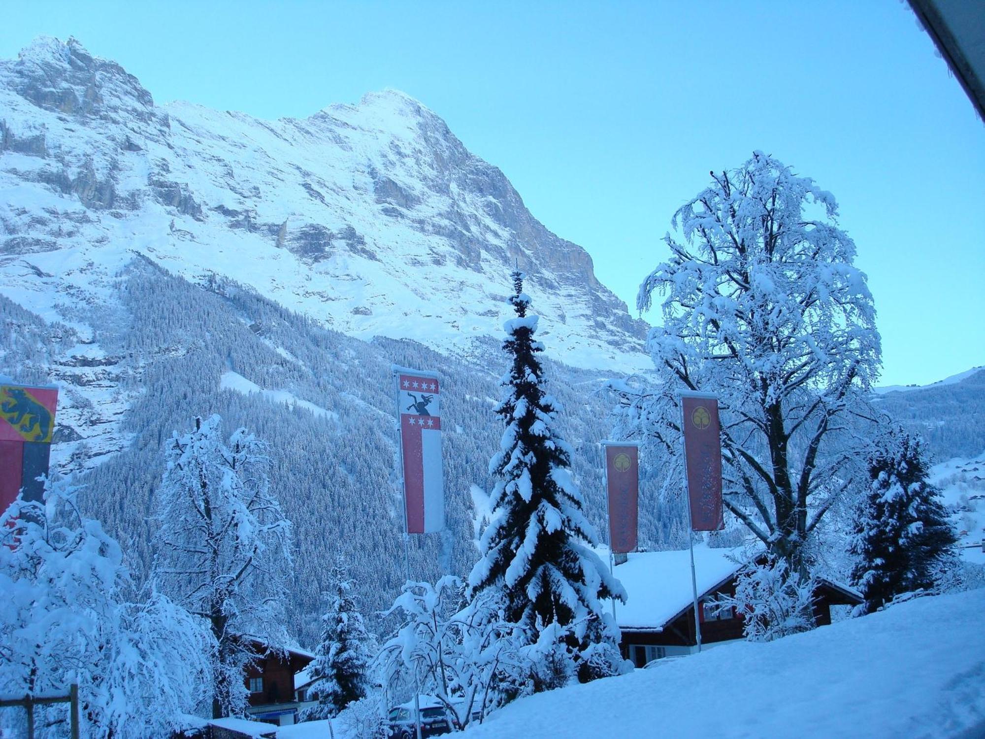 Parkhotel Schoenegg Grindelwald Luaran gambar