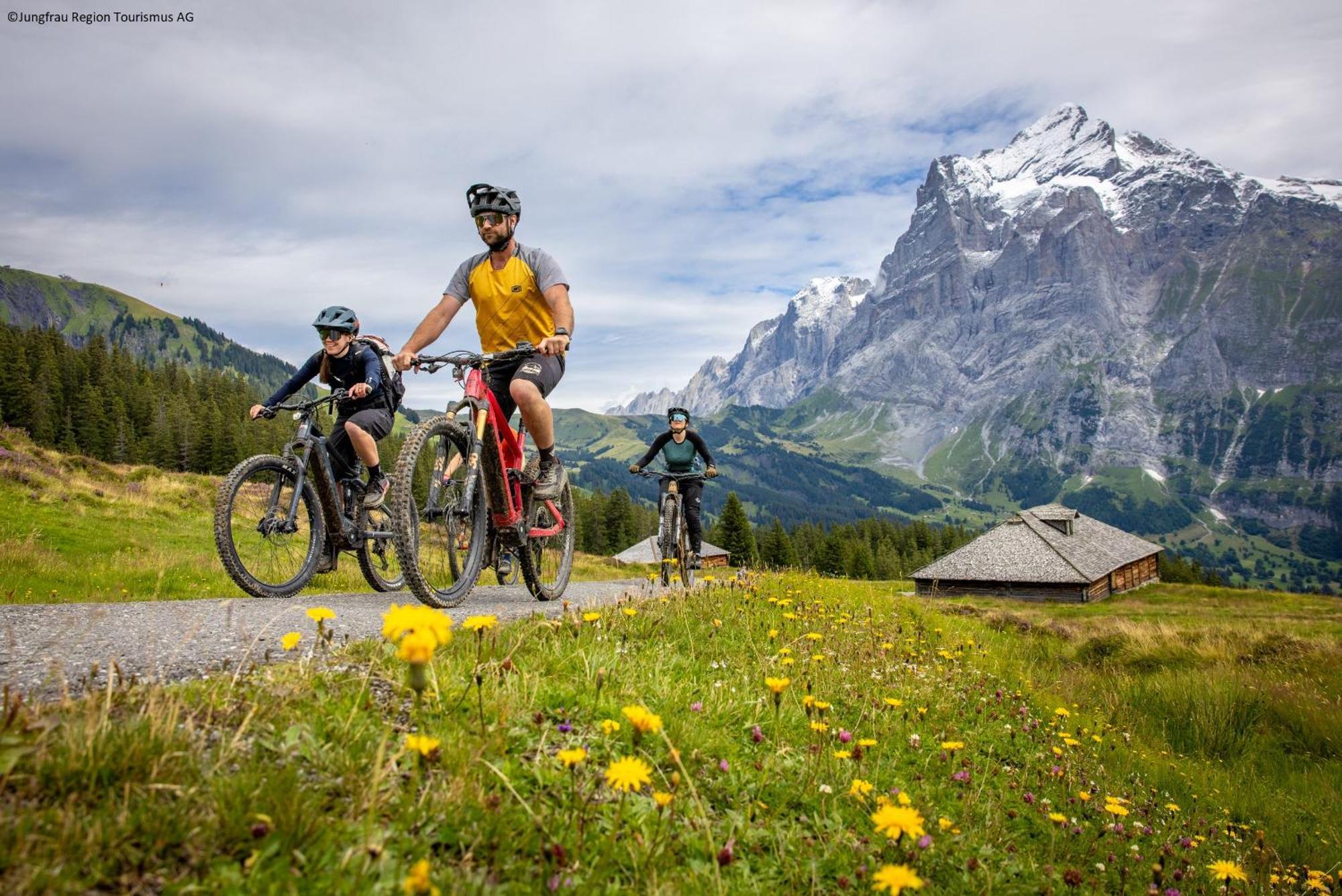 Parkhotel Schoenegg Grindelwald Luaran gambar